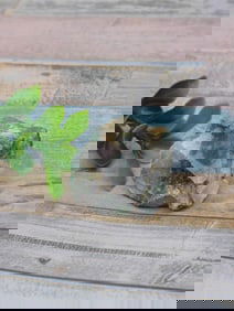 Raw Mineral Specimen With Green and Clear Features ROCK STONE LAPIDARY SPECIMEN