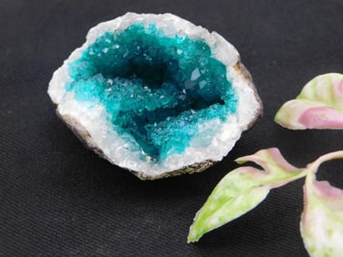 Blue and White Crystal Geode with Vibrant Interior ROCK STONE LAPIDARY SPECIMEN