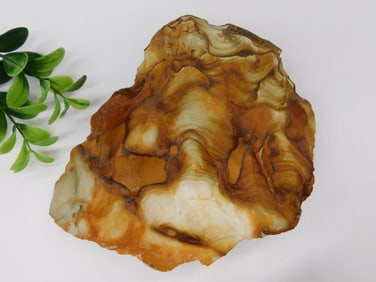 Jasper Rock Stone Lapidary Specimen
