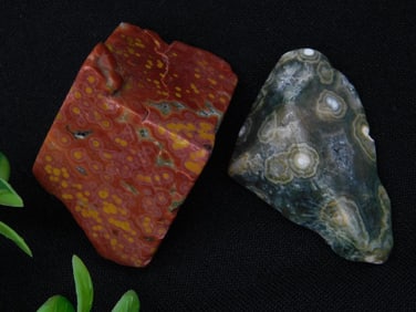 Orbicular Jasper Rock Stone Lapidary Specimen
