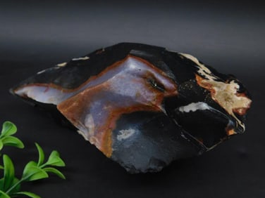 Large Agate Rock Stone Lapidary Specimen