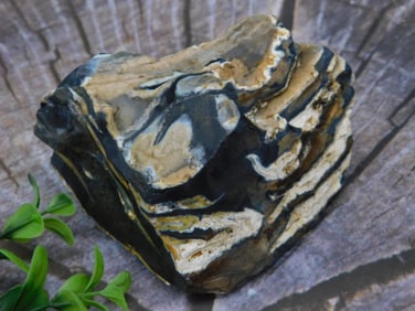 ZEBRA Rock Stone Lapidary Specimen With Unique Banding Patterns
