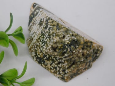 Ocean Jasper Specimen Rock Stone Lapidary Specimen