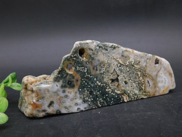 Ocean Jasper Specimen Rock Stone Lapidary Specimen