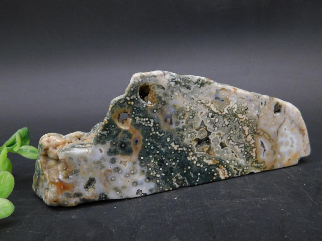 Ocean Jasper Specimen Rock Stone Lapidary Specimen: Polished ocean jasper stone showcasing a natural blend of green, white, and brown hues. Features unique patterns with visible inclusion clusters. Dimensions are shown against a ruler for quick size re