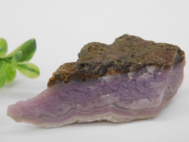 Royal Aztec Lace Rock Stone Lapidary Specimen