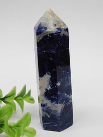 Polished Sodalite Crystal Point with White Veining Rock Stone Lapidary Specimen
