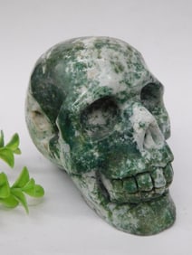 Tree Agate Stone Skull Rock Stone Lapidary Specimen