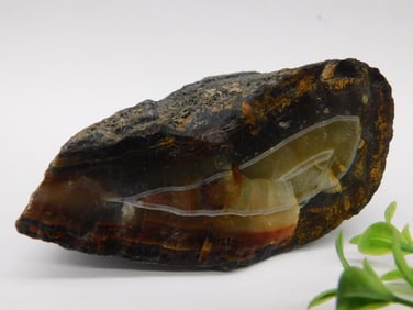 Brazilian Agate Rock Stone Lapidary Specimen