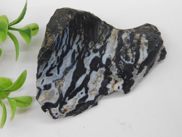 Black and White Tiger Rock Stone Lapidary Specimen