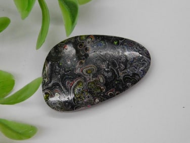 Fordite Motor City Agate Rock Stone Lapidary Specimen