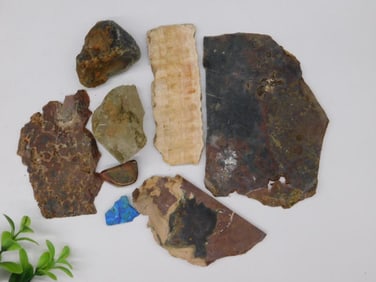 Lot of Assorted Rocks and Mineral Specimens
