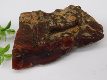 Flame Plume Agate Rock Stone Lapidary Specimen