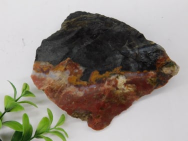 Rock Stone Lapidary Specimen
