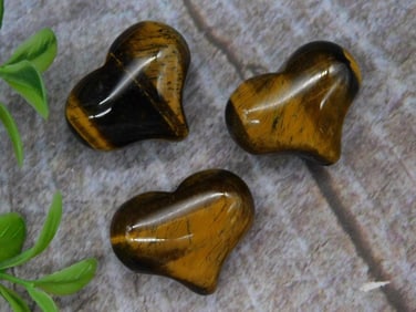 Tiger?s Eye Hearts ? Set of 3 ROCK STONE LAPIDARY SPECIMEN