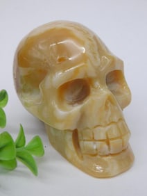 Polished Stone Skull Rock Stone Lapidary Specimen