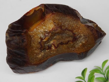 Brazilian Agate Rock Stone Lapidary Specimen