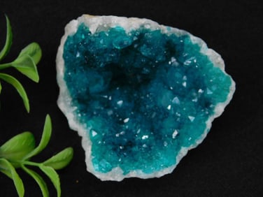 Vivid Blue Geode Rock Stone Lapidary Specimen