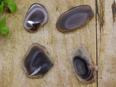 BOTSWANA AGATE ROCK STONE LAPIDARY SPECIMEN