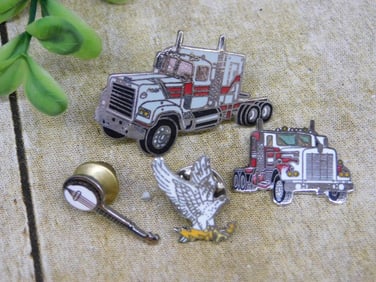 MIXED PINS