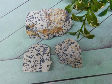 DALMATION JASPER ROCK STONE LAPIDARY SPECIMEN