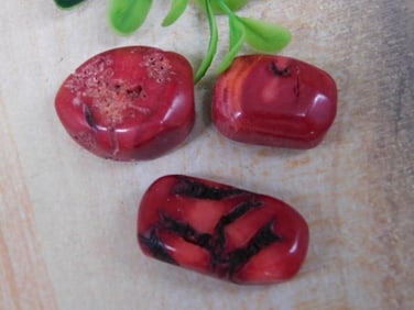 RED CORAL ROCK STONE LAPIDARY SPECIMEN