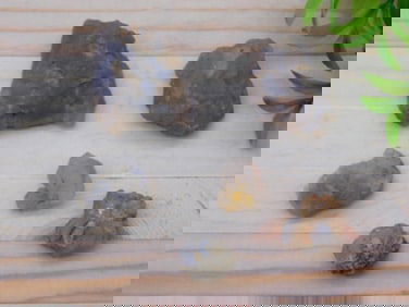 ELLENSBURG AGATE ROCK STONE LAPIDARY SPECIMEN