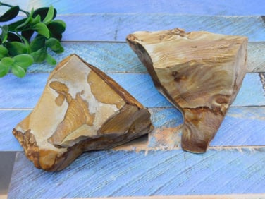 JASPER ROCK STONE LAPIDARY SPECIMEN