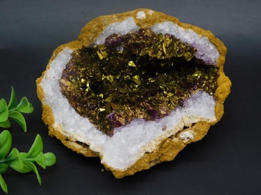 PURPLE AND GOLD GEODE ROCK STONE LAPIDARY SPECIMEN