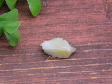 ROUGH OPAL ROCK STONE LAPIDARY SPECIMEN