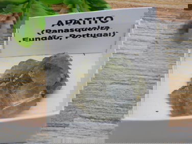 PANASQUIERA MINE PORTUGAL ROCK STONE LAPIDARY SPECIMEN