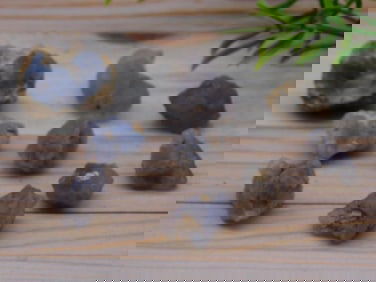 ELLENSBURG AGATE ROCK STONE LAPIDARY SPECIMEN