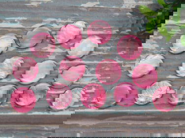 STONE SHELL BEADS ROCK STONE LAPIDARY SPECIMEN