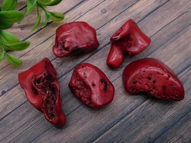 RED CORAL ROCK STONE LAPIDARY SPECIMEN