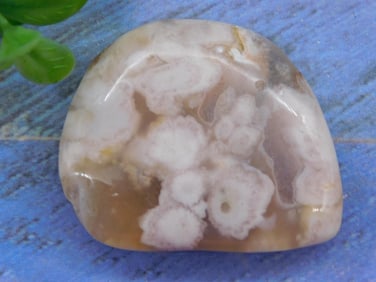 FLOWER PETAL AGATE ROCK STONE LAPIDARY SPECIMEN