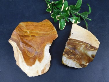 JASPER ROCK STONE LAPIDARY SPECIMEN