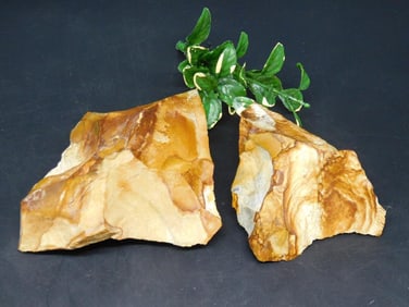 JASPER ROCK STONE LAPIDARY SPECIMEN