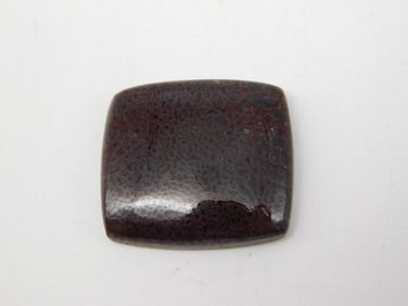 DINOSAUR BONE CABOCHON ROCK STONE LAPIDARY SPECIMEN