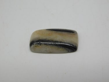 ZEBRA CABOCHON ROCK STONE LAPIDARY SPECIMEN