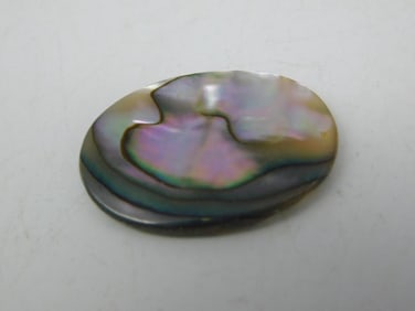 ABALONE CABOCHON ROCK STONE LAPIDARY SPECIMEN