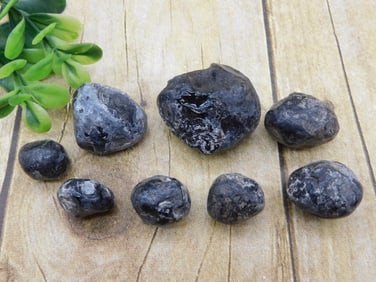 APACHE TEARS ROCK STONE LAPIDARY SPECIMEN