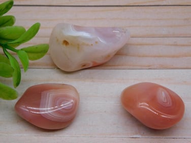 PEACH BOTSWANA AGATE ROCK STONE LAPIDARY SPECIMEN