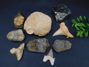 MIXED LOT ROCK STONE LAPIDARY SPECIMEN