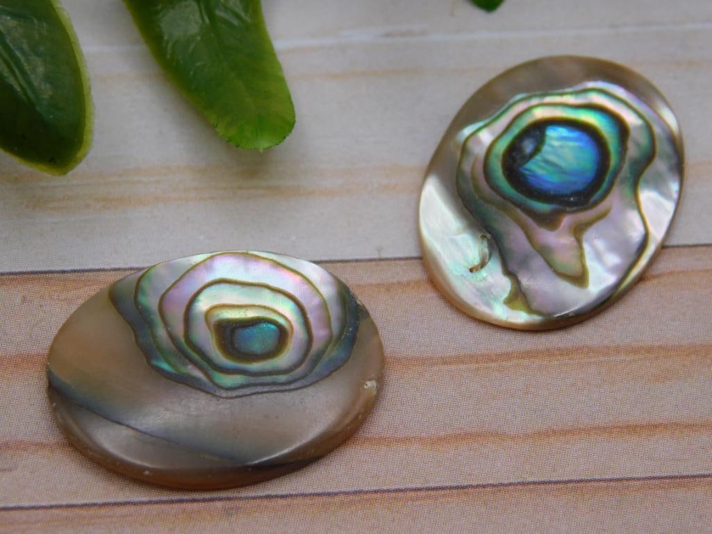 ABALONE CABOCHONS ROCK STONE LAPIDARY SPECIMEN: ABALONE CABOCHONS ROCK STONE LAPIDARY SPECIMEN