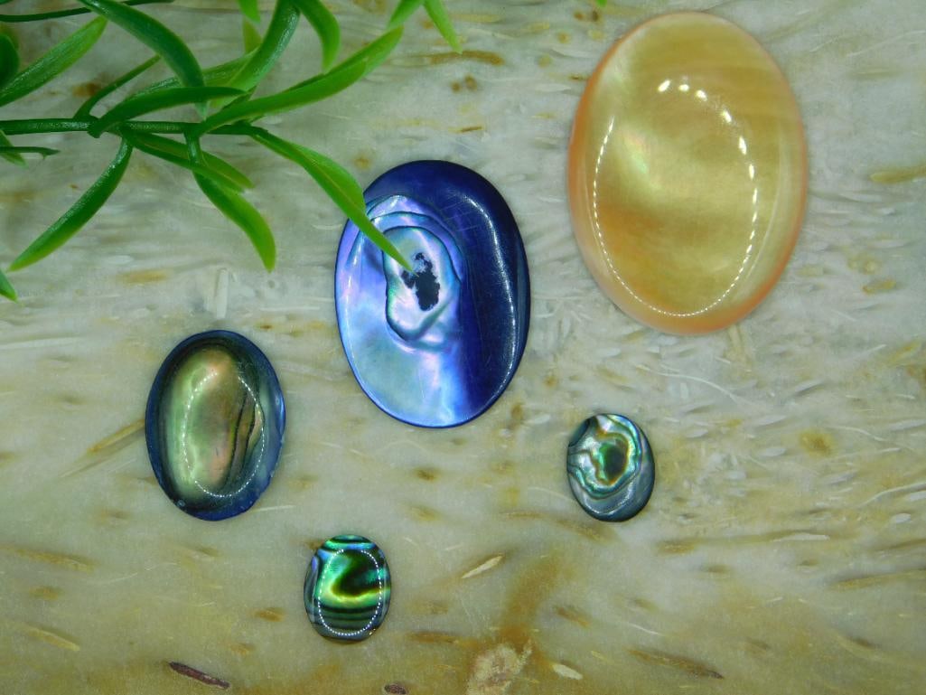 ABALONE STONE CABOCHONS ROCK STONE LAPIDARY SPECIMEN: ABALONE STONE CABOCHONS ROCK STONE LAPIDARY SPECIMEN