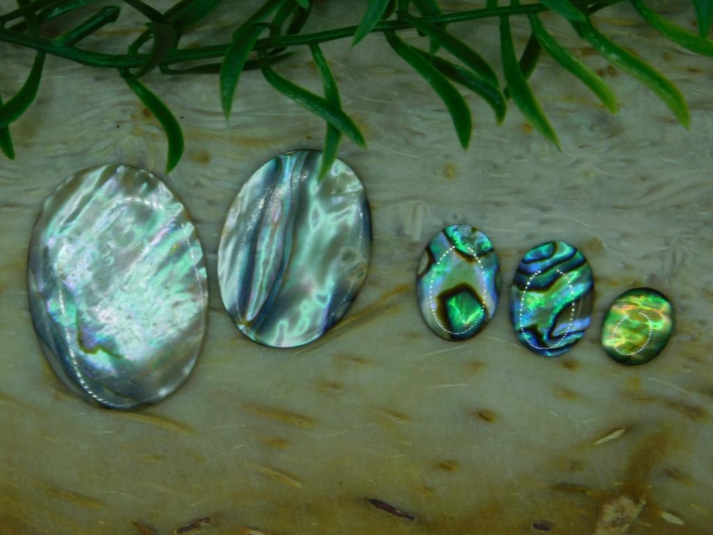 ABALONE STONE CABOCHONS ROCK STONE LAPIDARY SPECIMEN: ABALONE STONE CABOCHONS ROCK STONE LAPIDARY SPECIMEN
