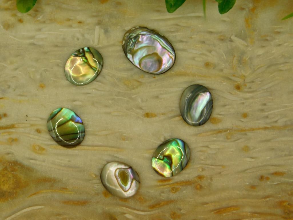 ABALONE STONE CABOCHONS ROCK STONE LAPIDARY SPECIMEN: ABALONE STONE CABOCHONS ROCK STONE LAPIDARY SPECIMEN