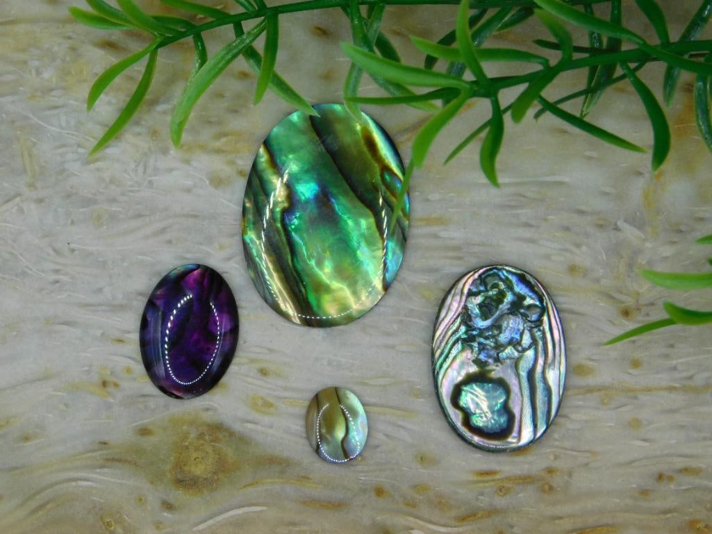 ABALONE STONE CABOCHONS ROCK STONE LAPIDARY SPECIMEN: ABALONE STONE CABOCHONS ROCK STONE LAPIDARY SPECIMEN