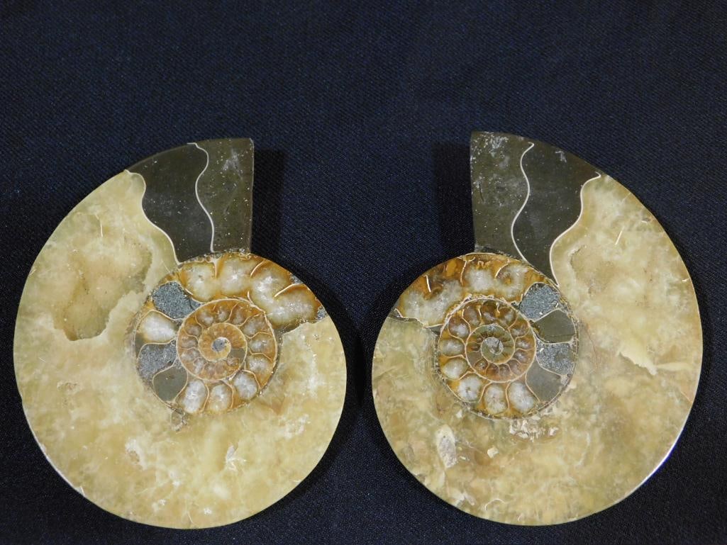 MAPLE LEAF PATTERN AMMONITE PAIR: MAPLE LEAF PATTERN AMMONITE PAIR