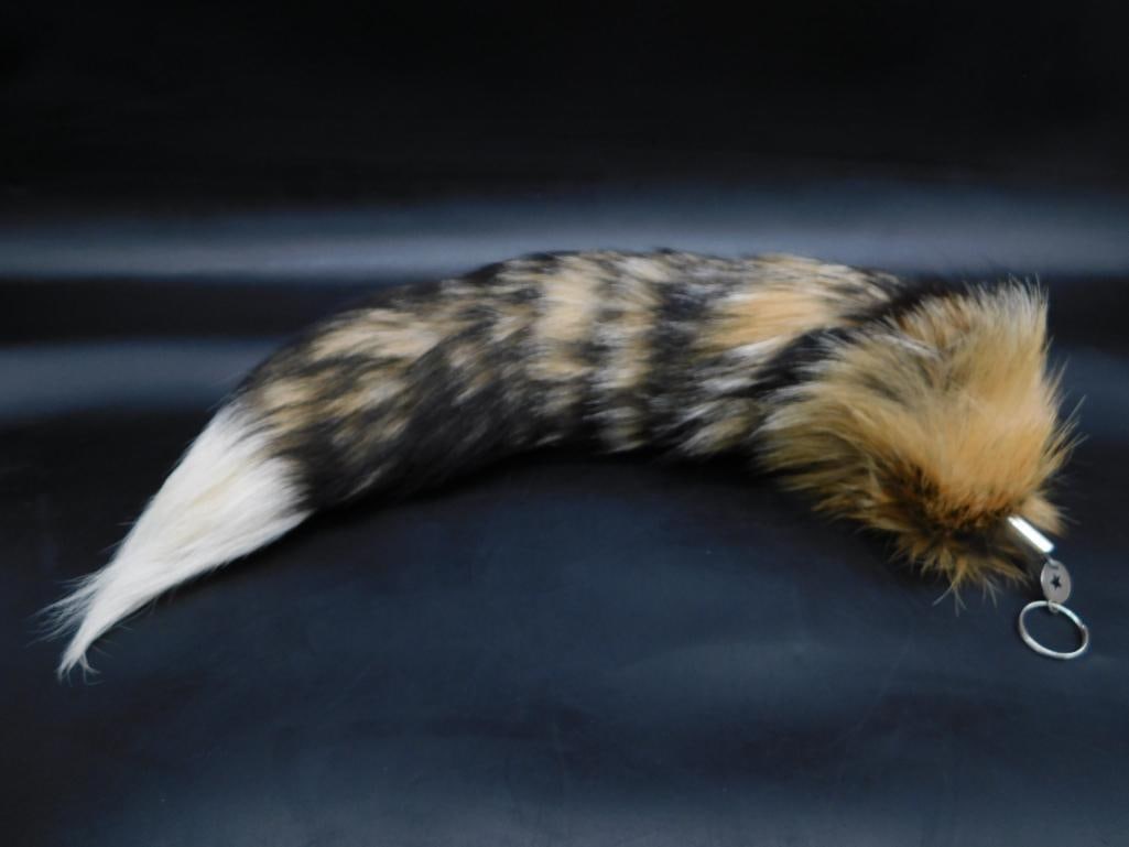 RED FOX TAIL TAXIDERMY VINTAGE ANTIQUE: RED FOX TAIL TAXIDERMY VINTAGE ANTIQUE